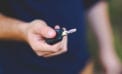 car key Vehicle sales appear to have finally reached bottom