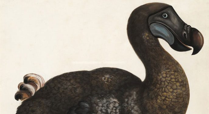 It’s time for political welfare to go the way of the dodo bird