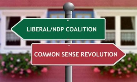 The next election will be a common sense revolution