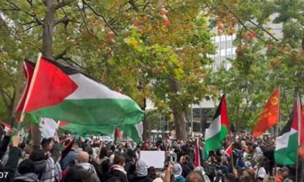 Thanksgiving weekend marred by demonstrations supporting terrorists