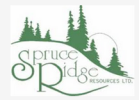 Spruce Ridge Completes Oregon Nickel Assets Acquisition with RAB Capital