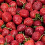 Summer produce should mean better prices, not ripoffs