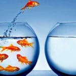 Four words that will help you get hired