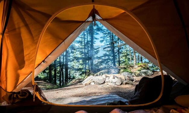 Nova Scotia’s forest access ban goes too far