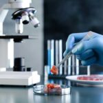 Lab-made food won’t win over Canadian shoppers