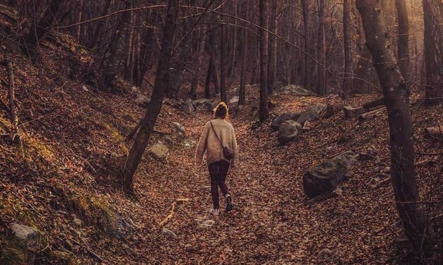 Freedom takes a back seat to bureaucratic convenience